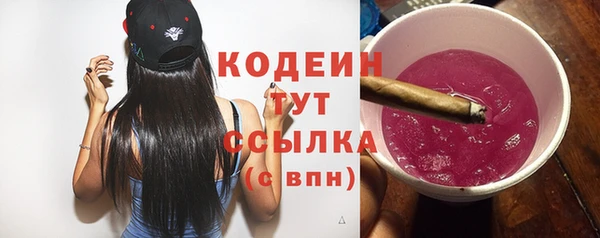 индика Верея